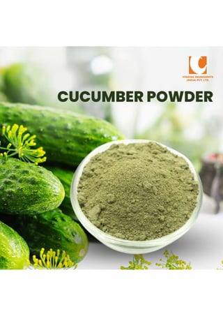 Unveiling the Nutritional Powerhouse of Cucumbers: Culinary Delight and Skincare Marvel
