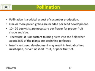 Pollination
• Pollination is a critical aspect of cucumber production.
• One or more pollen grains are needed per seed development.
• 10 - 20 bee visits are necessary per flower for proper fruit
shape and size.
• Therefore, it is important to bring hives into the field when
about 25% of the plants are beginning to flower.
• Insufficient seed development may result in fruit abortion,
misshapen, curved or short fruit, or poor fruit set.
5/13/2021 17
 