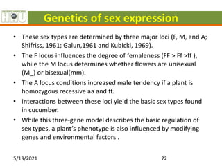 Genetics of sex expression
• These sex types are determined by three major loci (F, M, and A;
Shifriss, 1961; Galun,1961 and Kubicki, 1969).
• The F locus influences the degree of femaleness (FF > Ff >ff ),
while the M locus determines whether flowers are unisexual
(M_) or bisexual(mm).
• The A locus conditions increased male tendency if a plant is
homozygous recessive aa and ff.
• Interactions between these loci yield the basic sex types found
in cucumber.
• While this three-gene model describes the basic regulation of
sex types, a plant’s phenotype is also influenced by modifying
genes and environmental factors .
5/13/2021 22
 