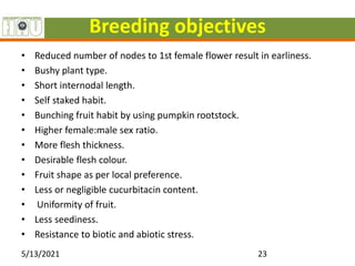 Breeding objectives
• Reduced number of nodes to 1st female flower result in earliness.
• Bushy plant type.
• Short internodal length.
• Self staked habit.
• Bunching fruit habit by using pumpkin rootstock.
• Higher female:male sex ratio.
• More flesh thickness.
• Desirable flesh colour.
• Fruit shape as per local preference.
• Less or negligible cucurbitacin content.
• Uniformity of fruit.
• Less seediness.
• Resistance to biotic and abiotic stress.
5/13/2021 23
 