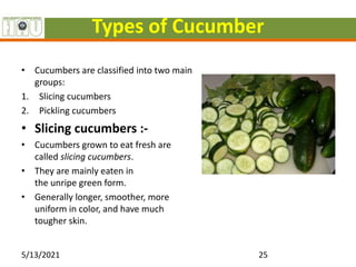 Types of Cucumber
• Cucumbers are classified into two main
groups:
1. Slicing cucumbers
2. Pickling cucumbers
• Slicing cucumbers :-
• Cucumbers grown to eat fresh are
called slicing cucumbers.
• They are mainly eaten in
the unripe green form.
• Generally longer, smoother, more
uniform in color, and have much
tougher skin.
5/13/2021 25
 