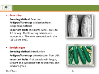 • Pusa Uday
Breeding Method: Selection
Pedigree/Parentage : Selection from
Indigenous material
Important Traits The plants (vines) are 1 to
1.5 m long. The flowering behaviour is
monoecious. The fruits are medium in size
(13-15 cm long).
• Straight eight
Breeding Method :Introduction
Pedigree/Parentage : Introduction from USA
Important Traits :Fruits medium in length,
straight and cylindrical with round ends, skin
medium green
5/13/2021 31
 