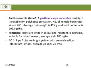 • Parthenocarpic khira-3: A parthenocarpic cucumber variety. It
is suitable for polyhouse cultivation. No. of female flower per
vine is 465. Average fruit weight is 415 g and yield potential is
1992 qt/ha.
• Himangni: Fruits are white in colour and resistant to bronzing,
suitable for kharif season, average yield 180 q/ha
• CO 1: Ripe fruits are bright yellow with greenish yellow
intermitant stripes. Average yield 25-28 t/ha.
5/13/2021 35
 