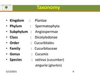 Taxonomy
• Kingdom : Plantae
• Phylum : Spermatophyta
• Subphylum : Angiospermae
• Class : Dicotyledonae
• Order : Cucurbitales
• Family : Cucurbitaceae
• Genus : Cucumis
• Species : sativus (cucumber)
anguria (gherkin)
5/13/2021 9
 