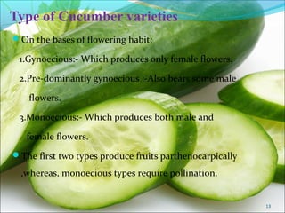 Cucumber production technology