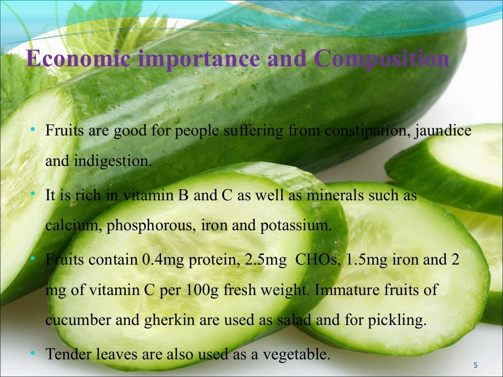 Cucumber production technology