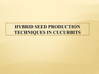 HYBRID SEED PRODUCTION
TECHNIQUES IN CUCURBITS
 