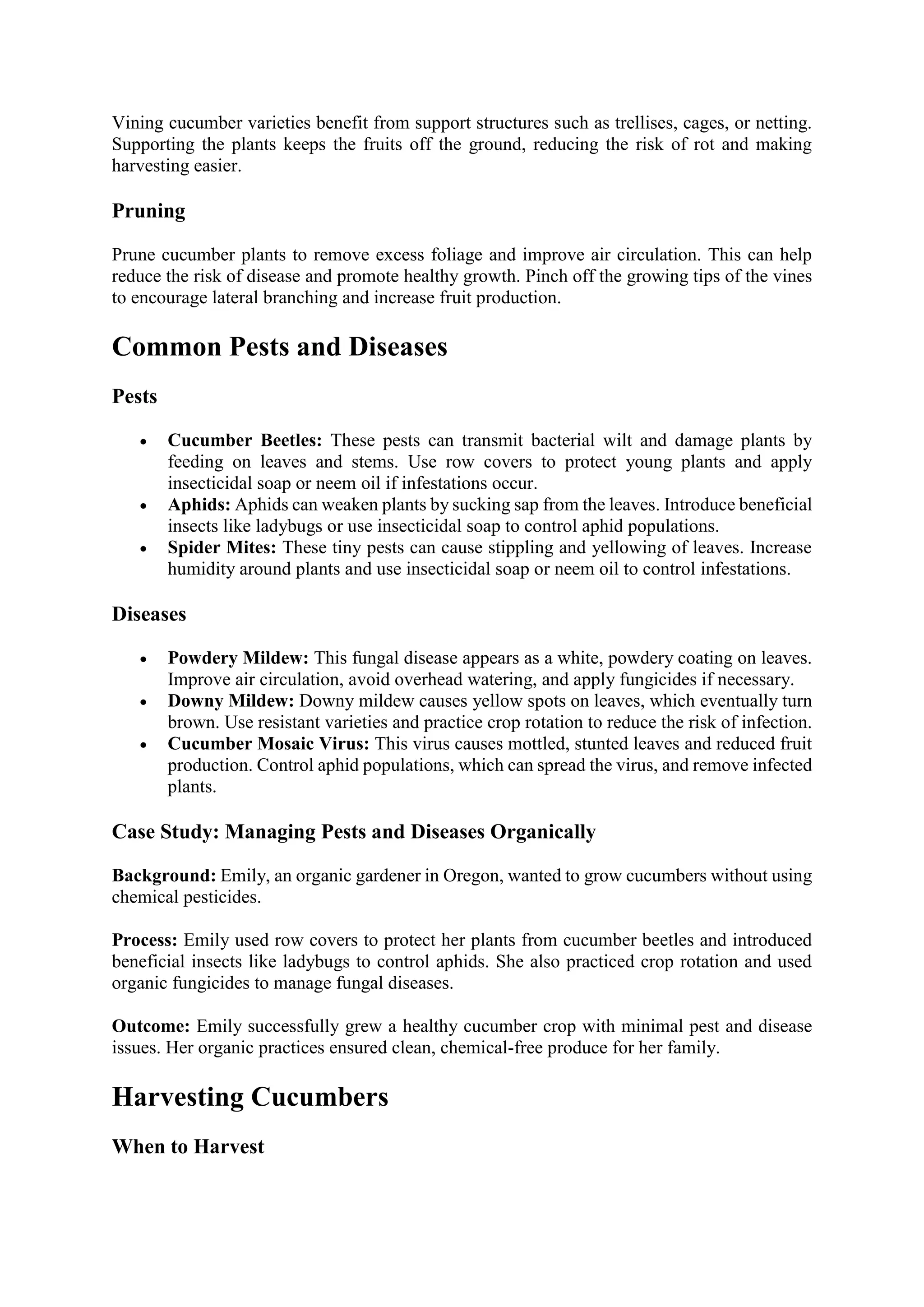 Vining cucumber varieties benefit from support structures such as trellises, cages, or netting.
Supporting the plants keeps the fruits off the ground, reducing the risk of rot and making
harvesting easier.
Pruning
Prune cucumber plants to remove excess foliage and improve air circulation. This can help
reduce the risk of disease and promote healthy growth. Pinch off the growing tips of the vines
to encourage lateral branching and increase fruit production.
Common Pests and Diseases
Pests
 Cucumber Beetles: These pests can transmit bacterial wilt and damage plants by
feeding on leaves and stems. Use row covers to protect young plants and apply
insecticidal soap or neem oil if infestations occur.
 Aphids: Aphids can weaken plants by sucking sap from the leaves. Introduce beneficial
insects like ladybugs or use insecticidal soap to control aphid populations.
 Spider Mites: These tiny pests can cause stippling and yellowing of leaves. Increase
humidity around plants and use insecticidal soap or neem oil to control infestations.
Diseases
 Powdery Mildew: This fungal disease appears as a white, powdery coating on leaves.
Improve air circulation, avoid overhead watering, and apply fungicides if necessary.
 Downy Mildew: Downy mildew causes yellow spots on leaves, which eventually turn
brown. Use resistant varieties and practice crop rotation to reduce the risk of infection.
 Cucumber Mosaic Virus: This virus causes mottled, stunted leaves and reduced fruit
production. Control aphid populations, which can spread the virus, and remove infected
plants.
Case Study: Managing Pests and Diseases Organically
Background: Emily, an organic gardener in Oregon, wanted to grow cucumbers without using
chemical pesticides.
Process: Emily used row covers to protect her plants from cucumber beetles and introduced
beneficial insects like ladybugs to control aphids. She also practiced crop rotation and used
organic fungicides to manage fungal diseases.
Outcome: Emily successfully grew a healthy cucumber crop with minimal pest and disease
issues. Her organic practices ensured clean, chemical-free produce for her family.
Harvesting Cucumbers
When to Harvest
 