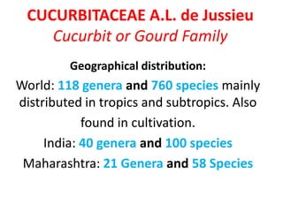 CUCURBITACEAE A.L. de Jussieu
Cucurbit or Gourd Family
Geographical distribution:
World: 118 genera and 760 species mainly
distributed in tropics and subtropics. Also
found in cultivation.
India: 40 genera and 100 species
Maharashtra: 21 Genera and 58 Species
 
