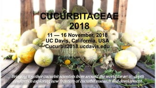 11 — 16 November, 2018
UC Davis, California, USA
Cucurbit2018.ucdavis.edu
CUCURBITACEAE
2018
Bringing together cucurbit scientists from around the world for an in-depth
conference exploring new frontiers of cucurbit research and development.
 