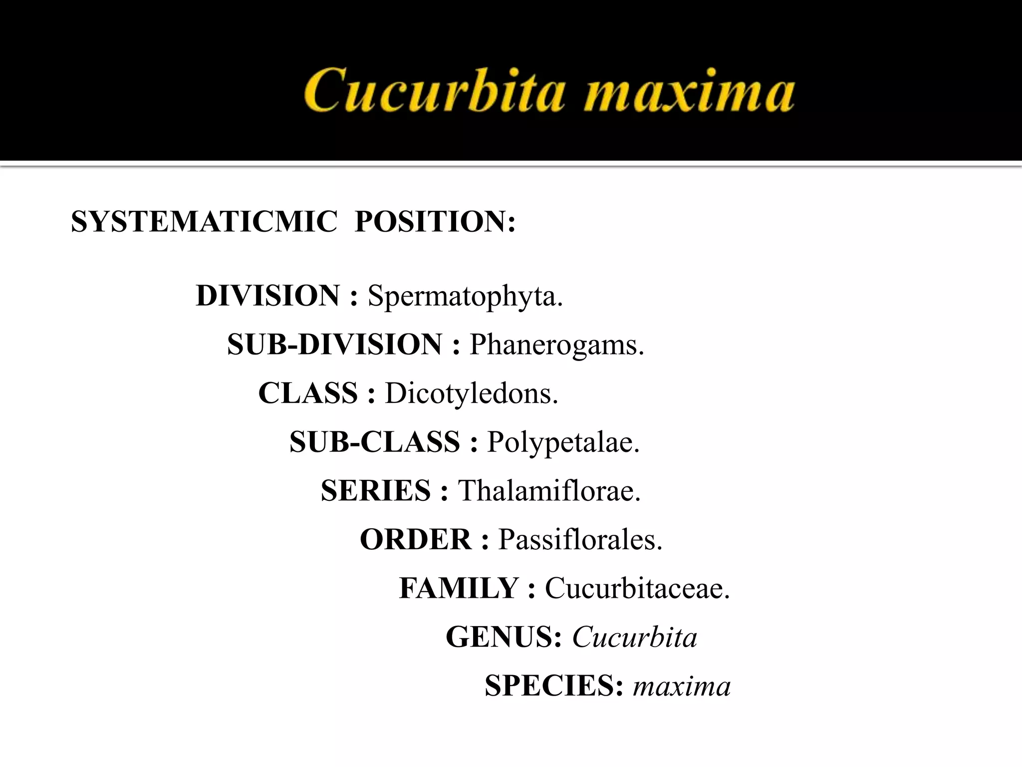 SYSTEMATICMIC POSITION:
DIVISION : Spermatophyta.
SUB-DIVISION : Phanerogams.
CLASS : Dicotyledons.
SUB-CLASS : Polypetalae.
SERIES : Thalamiflorae.
ORDER : Passiflorales.
FAMILY : Cucurbitaceae.
GENUS: Cucurbita
SPECIES: maxima
 
