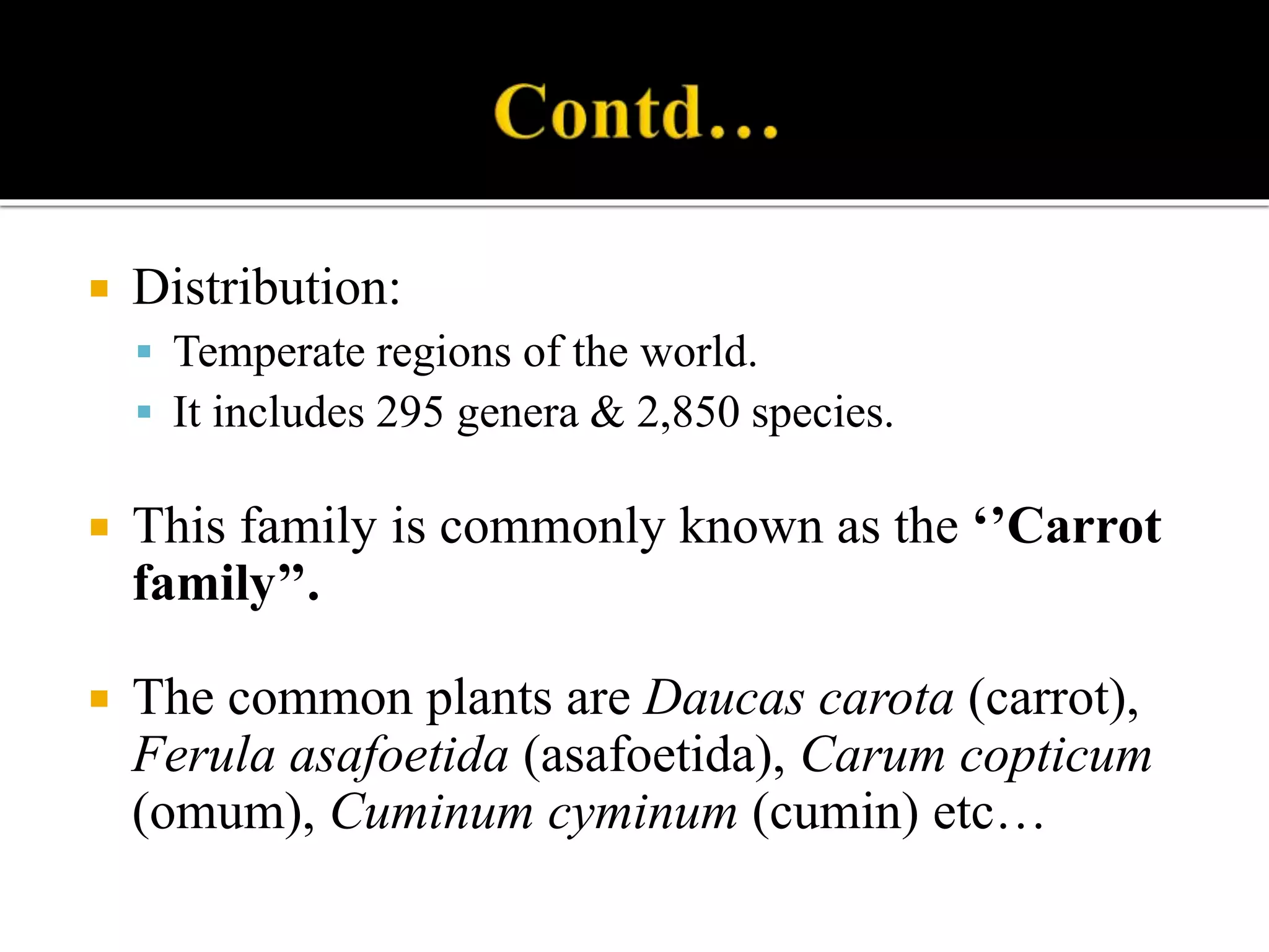  Distribution:
 Temperate regions of the world.
 It includes 295 genera & 2,850 species.
 This family is commonly known as the ‘’Carrot
family’’.
 The common plants are Daucas carota (carrot),
Ferula asafoetida (asafoetida), Carum copticum
(omum), Cuminum cyminum (cumin) etc…
 