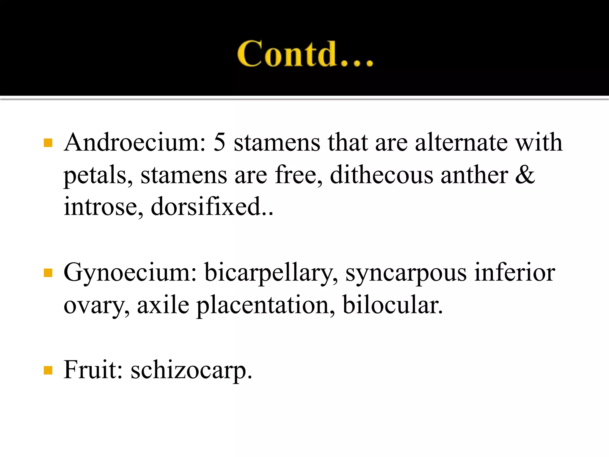  Androecium: 5 stamens that are alternate with
petals, stamens are free, dithecous anther &
introse, dorsifixed..
 Gynoecium: bicarpellary, syncarpous inferior
ovary, axile placentation, bilocular.
 Fruit: schizocarp.
 