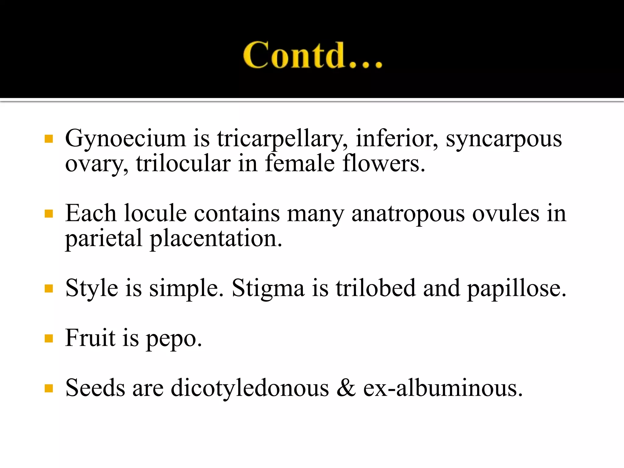  Gynoecium is tricarpellary, inferior, syncarpous
ovary, trilocular in female flowers.
 Each locule contains many anatropous ovules in
parietal placentation.
 Style is simple. Stigma is trilobed and papillose.
 Fruit is pepo.
 Seeds are dicotyledonous & ex-albuminous.
 