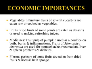  Vegetables: Immature fruits of several cucurbits are
eaten raw or cooked as vegetables.
 Fruits: Ripe fruits of some plants are eaten as desserts
or used to making refreshing juices.
 Medicines: Fruit pulp of pumpkin used as a poultice on
boils, burns & inflammations. Fruits of Momordica
charantia are used for stomach ache, rheumatism, liver
& spleen problems & diabetes.
 Fibrous pericarp of some fruits are taken from dried
fruits & used as bath sponge.
 
