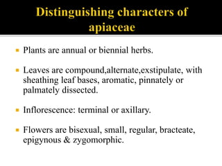  Plants are annual or biennial herbs.
 Leaves are compound,alternate,exstipulate, with
sheathing leaf bases, aromatic, pinnately or
palmately dissected.
 Inflorescence: terminal or axillary.
 Flowers are bisexual, small, regular, bracteate,
epigynous & zygomorphic.
 