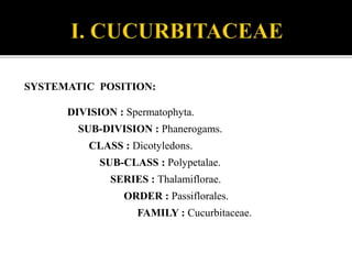 SYSTEMATIC POSITION:
DIVISION : Spermatophyta.
SUB-DIVISION : Phanerogams.
CLASS : Dicotyledons.
SUB-CLASS : Polypetalae.
SERIES : Thalamiflorae.
ORDER : Passiflorales.
FAMILY : Cucurbitaceae.
 