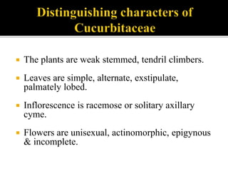  The plants are weak stemmed, tendril climbers.
 Leaves are simple, alternate, exstipulate,
palmately lobed.
 Inflorescence is racemose or solitary axillary
cyme.
 Flowers are unisexual, actinomorphic, epigynous
& incomplete.
 
