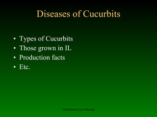 Diseases of Cucurbits ,[object Object],[object Object],[object Object],[object Object],Muhammad Asif Pakistan 