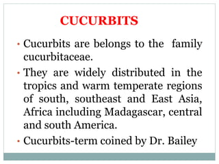 CUCURBITS
• Cucurbits are belongs to the family
cucurbitaceae.
• They are widely distributed in the
tropics and warm temperate regions
of south, southeast and East Asia,
Africa including Madagascar, central
and south America.
• Cucurbits-term coined by Dr. Bailey
 