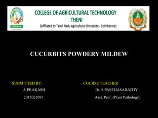 CUCURBITS POWDERY MILDEW
SUBMITTED BY: COURSE TEACHER
J. PRAKASH Dr. S.PARTHASARATHY
2015021097 Asst. Prof. (Plant Pathology)
 