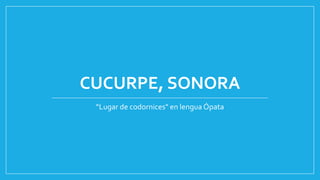 CUCURPE, SONORA
“Lugar de codornices" en lengua Ópata
 