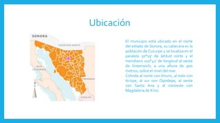 Ubicación
El municipio está ubicado en el norte
del estado de Sonora, su cabecera es la
población de Cucurpe y se localiza en el
paralelo 30°19' de latitud norte y el
meridiano 110°42' de longitud al oeste
de Greenwich; a una altura de 900
metros, sobre el nivel del mar.
Colinda al norte con Imuris, al este con
Arizpe, al sur con Opodepe, al oeste
con Santa Ana y al noroeste con
Magdalena de Kino.
 