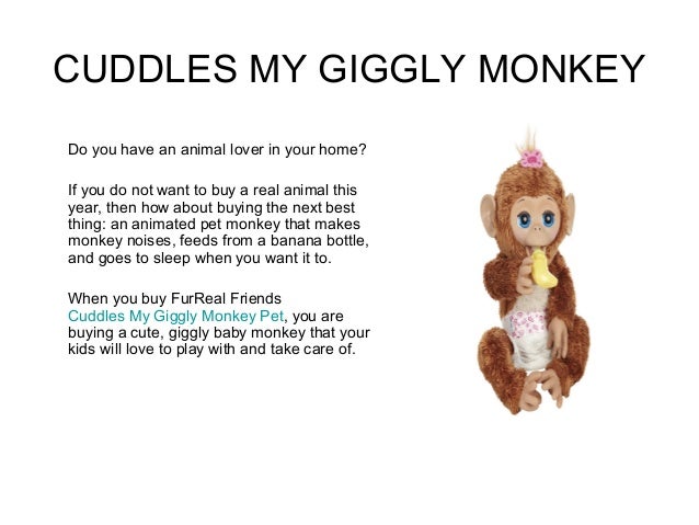 buy a real monkey