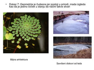 • Dokaz 7: Geometrija je čudesna jer postoji u prirodi, mada izgleda
kao da je jedino čovek u stanju da načini takve stvari
Savršeni diskovi od leda
Biljna arhitektura
 