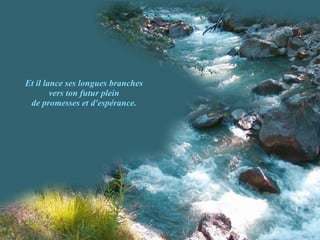 Et il lance ses longues branches vers ton futur plein de promesses et d'espérance. 