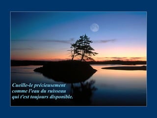 Cueille-le précieusement comme l'eau du ruisseau qui t'est toujours disponible. 