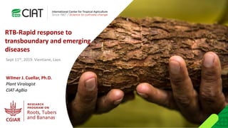 RTB-Rapid response to
transboundary and emerging
diseases
Wilmer J. Cuellar, Ph.D.
Plant Virologist
CIAT-AgBio
Sept 11th, 2019. Vientiane, Laos
 