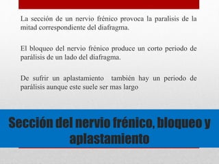 La sección de un nervio frénico provoca la paralisis de la 
mitad correspondiente del diafragma. 
El bloqueo del nervio frénico produce un corto periodo de 
parálisis de un lado del diafragma. 
De sufrir un aplastamiento también hay un periodo de 
parálisis aunque este suele ser mas largo 
Sección del nervio frénico, bloqueo y 
aplastamiento 
 