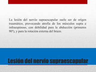 La lesión del nervio supraescapular suele ser de origen 
traumático, provocando atrofia de los músculos supra e 
infraespinoso, con debilidad para la abducción (primeros 
90º), y para la rotación externa del brazo. 
Lesión del nervio supraescapular 
 