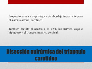 Proporciona una vía quirúrgica de abordaje importante para 
el sistema arterial carotideo. 
También facilita el acceso a la VYI, los nervios vago e 
hipogloso y el tronco simpático cervical. 
Disección quirúrgica del triangulo 
carotideo 
 