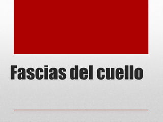 Fascias del cuello 
 