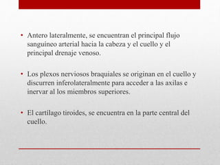 • Antero lateralmente, se encuentran el principal flujo 
sanguíneo arterial hacia la cabeza y el cuello y el 
principal drenaje venoso. 
• Los plexos nerviosos braquiales se originan en el cuello y 
discurren inferolateralmente para acceder a las axilas e 
inervar al los miembros superiores. 
• El cartílago tiroides, se encuentra en la parte central del 
cuello. 
 