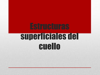 Estructuras 
superficiales del 
cuello 
 