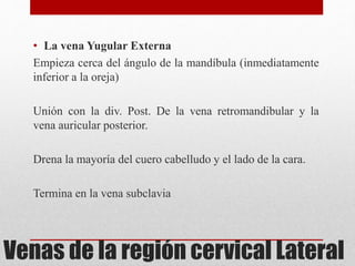 • La vena Yugular Externa 
Empieza cerca del ángulo de la mandíbula (inmediatamente 
inferior a la oreja) 
Unión con la div. Post. De la vena retromandibular y la 
vena auricular posterior. 
Drena la mayoría del cuero cabelludo y el lado de la cara. 
Termina en la vena subclavia 
Venas de la región cervical Lateral 
 