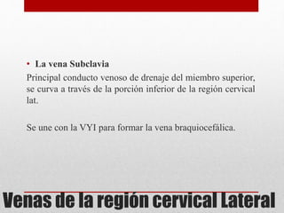• La vena Subclavia 
Principal conducto venoso de drenaje del miembro superior, 
se curva a través de la porción inferior de la región cervical 
lat. 
Se une con la VYI para formar la vena braquiocefálica. 
Venas de la región cervical Lateral 
 