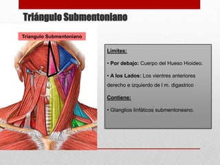 Triángulo Submentoniano 
Triangulo Submentoniano 
Limites: 
• Por debajo: Cuerpo del Hueso Hioideo. 
• A los Lados: Los vientres anteriores 
derecho e izquierdo de l m. digastrico 
Contiene: 
• Glanglios linfáticos submentoneano. 
 