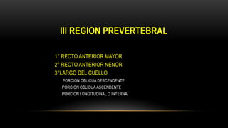 III REGION PREVERTEBRAL
1° RECTO ANTERIOR MAYOR
2° RECTO ANTERIOR NENOR
3°LARGO DEL CUELLO
PORCION OBLICUA DESCENDENTE
PORCION OBLICUA ASCENDENTE
PORCION LONGITUDINAL O INTERNA
 