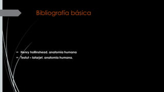 Bibliografía básica
 Henry hollinshead. anatomia humana
 Testut – latarjet. anatomia humana.
 