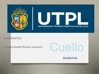 INTEGRANTES:
Loida Maribel Romero Guanuchi
Cuello
Anatomía