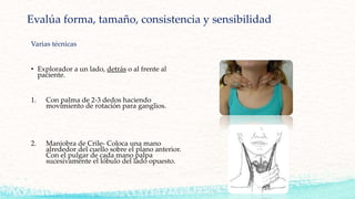Varias técnicas
• Explorador a un lado, detrás o al frente al
paciente.
1. Con palma de 2-3 dedos haciendo
movimiento de rotación para ganglios.
2. Maniobra de Crile- Coloca una mano
alrededor del cuello sobre el plano anterior.
Con el pulgar de cada mano palpa
sucesivamente el lóbulo del lado opuesto.
Evalúa forma, tamaño, consistencia y sensibilidad
 