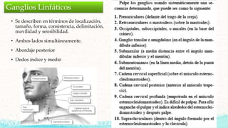 • Se describen en términos de localización,
tamaño, forma, consistencia, delimitación,
movilidad y sensibilidad.
• Ambos lados simultáneamente.
• Abordaje posterior
• Dedos índice y medio
Ganglios Linfáticos
 