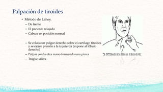 Palpación de tiroides
• Método de Lahey.
– De frente
– El paciente relajado
– Cabeza en posición normal
– Se coloca un pulgar derecho sobre el cartílago tiroides
y se ejerce presión a la izquierda (expone al lóbulo
derecho)
– Palpar con la otra mano formando una pinza
– Trague saliva
 