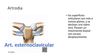 Artrodia
• las superficies
articulares son más o
menos planas, y se
deslizan una sobre
otra. Poseen un
movimiento biaxial
con escaso
desplazamiento.
 