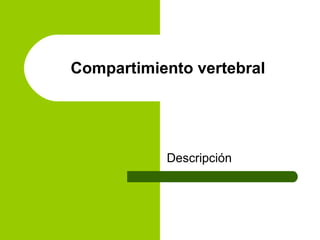 Descripción
Compartimiento vertebral
 