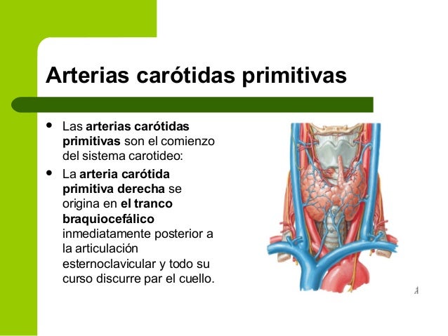 Al suspiro el dolor en el lado izquierdo sobre la espalda